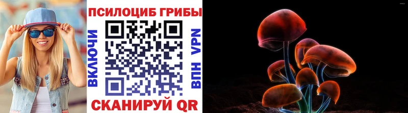 Галлюциногенные грибы мицелий  Новосокольники 